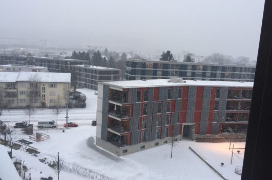 Frühlings-Ambiente trotz Schnee!