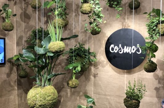 Inspirationen Giardina 2019