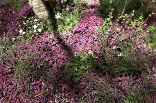 Inspirationen Giardina 2019