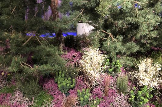 Inspirationen Giardina 2019