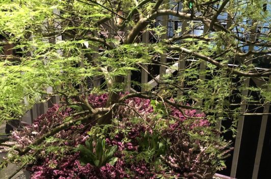 Inspirationen Giardina 2019