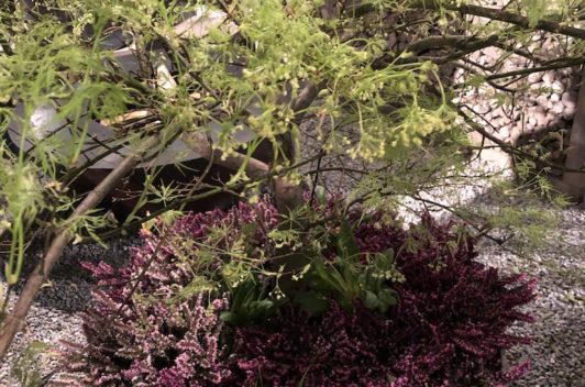 Inspirationen Giardina 2019