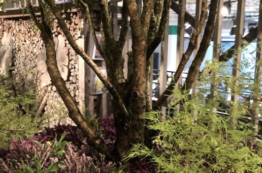 Inspirationen Giardina 2019