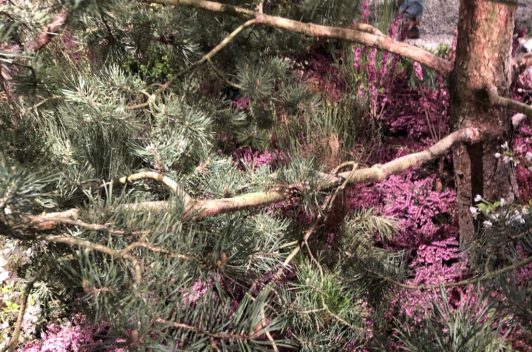 Inspirationen Giardina 2019