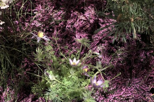 Inspirationen Giardina 2019