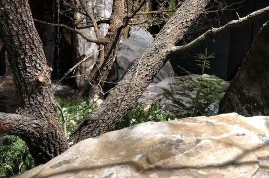 Inspirationen Giardina 2019