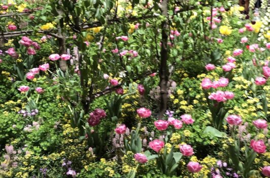 Inspirationen Giardina 2019