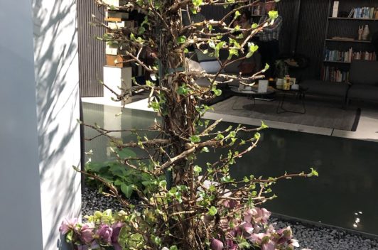 Inspirationen Giardina 2019