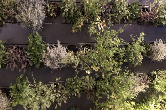 Inspirationen Giardina 2019