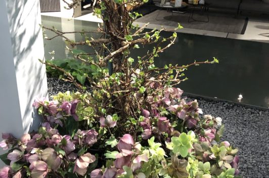 Inspirationen Giardina 2019