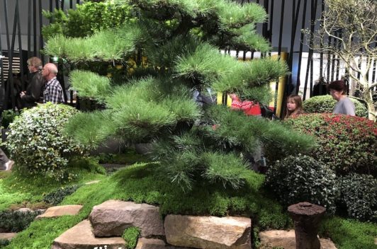 Inspirationen Giardina 2019