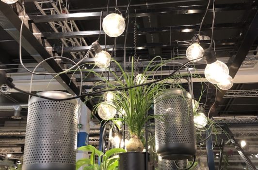 Inspirationen Giardina 2019