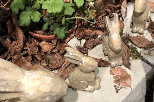 Inspirationen Giardina 2019