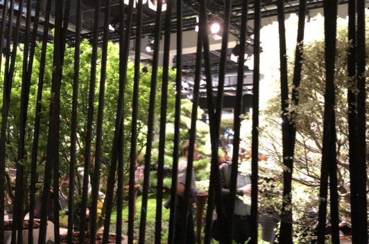 Inspirationen Giardina 2019