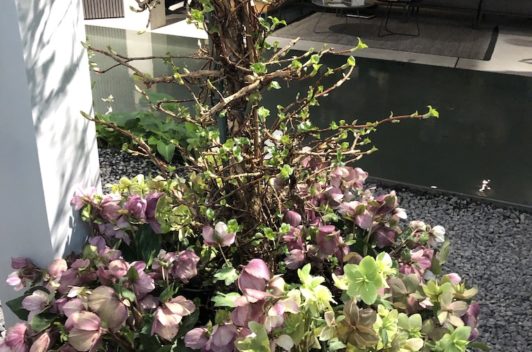 Inspirationen Giardina 2019