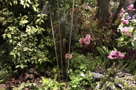 Inspirationen Giardina 2019