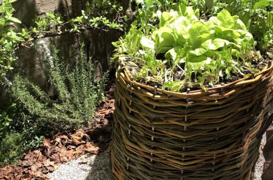 Inspirationen Giardina 2019