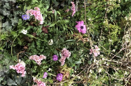 Inspirationen Giardina 2019