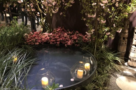 Inspirationen Giardina 2019