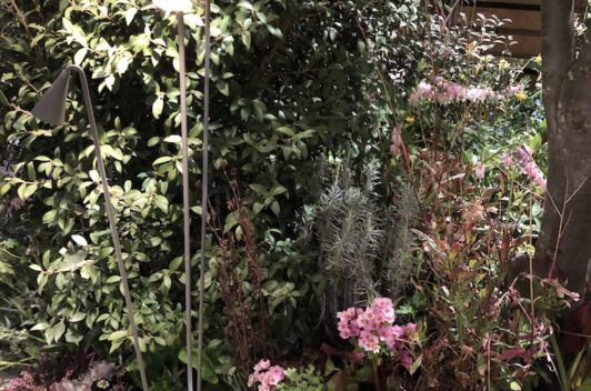 Inspirationen Giardina 2019