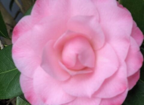 Outdoor-Möbel: die neusten Trends